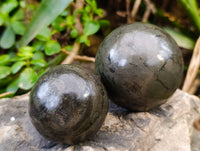 Polished Pharaoh Stone Spheres x 3 From Zimbabwe