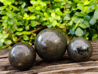Polished Pharaoh Stone Spheres x 3 From Zimbabwe