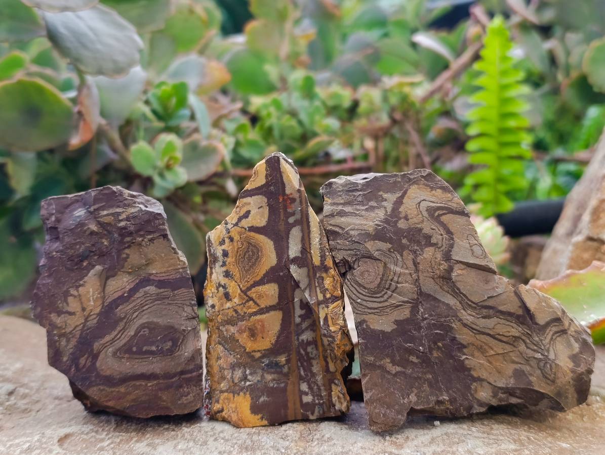 Natural Selected Nguni Jasper Cobbed Specimens x 12 From Prieska, South Africa - Toprock Gemstones and Minerals 