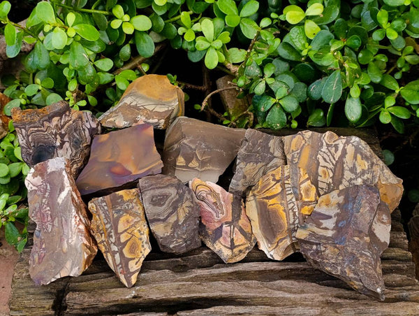 Natural Selected Nguni Jasper Cobbed Specimens x 12 From Prieska, South Africa