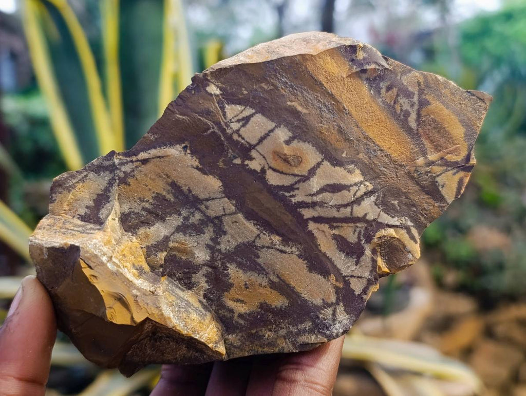 Natural Selected Nguni Jasper Cobbed Specimens x 12 From Prieska, South Africa - Toprock Gemstones and Minerals 
