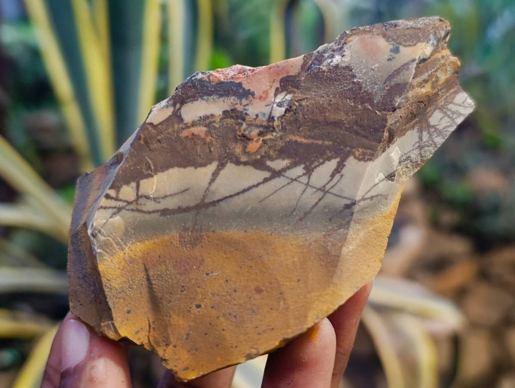 Natural Selected Nguni Jasper Cobbed Specimens x 12 From Prieska, South Africa - Toprock Gemstones and Minerals 