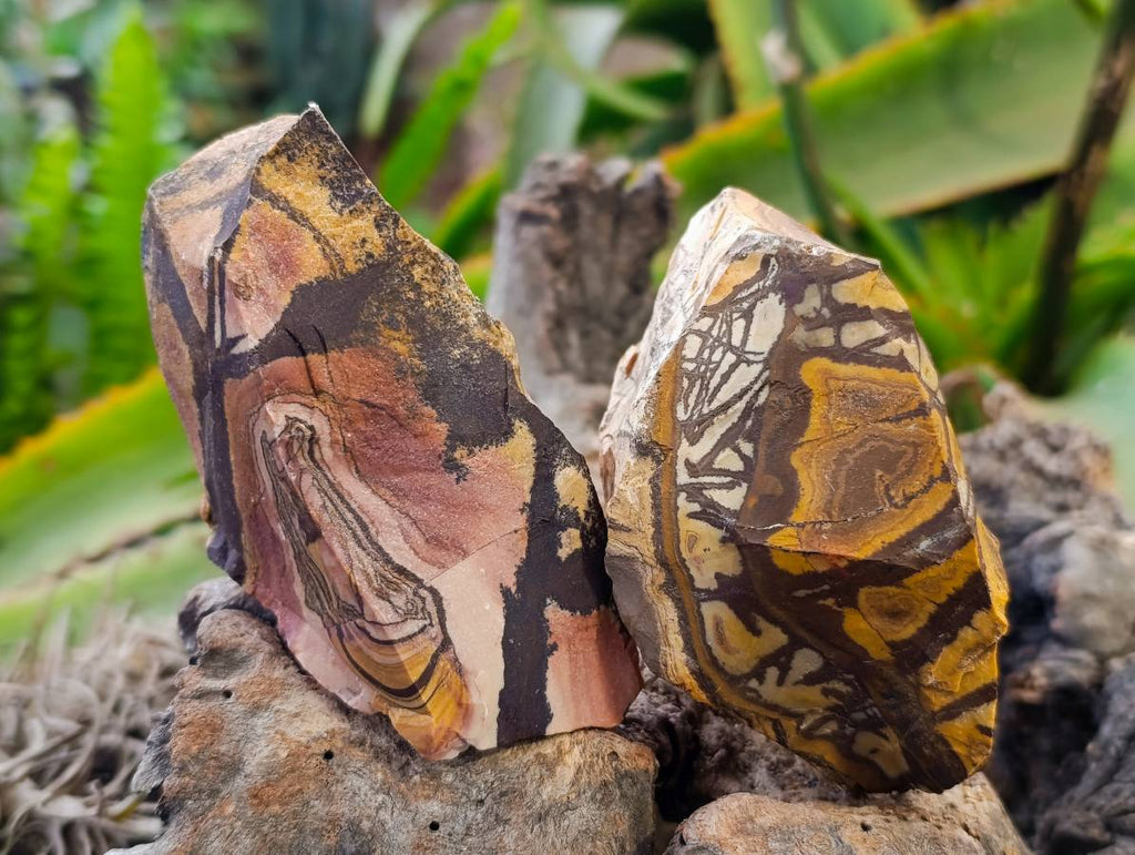 Natural Selected Nguni Jasper Cobbed Specimens x 12 From Prieska, South Africa - Toprock Gemstones and Minerals 