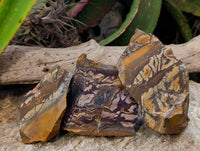 Natural Selected Nguni Jasper Cobbed Specimens x 12 From Prieska, South Africa