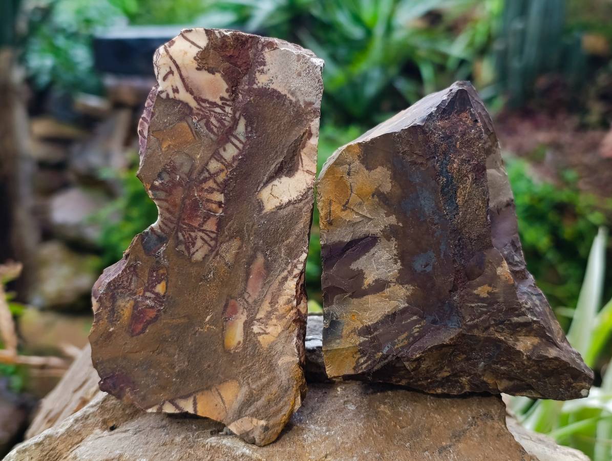 Natural Selected Nguni Jasper Cobbed Specimens x 12 From Prieska, South Africa - Toprock Gemstones and Minerals 