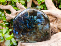 Polished Labradorite Standing Free Forms x 2 From Tulear, Madagascar - Toprock Gemstones and Minerals 