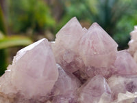 Natural Smokey Amethyst Spirit Quartz Clusters x 2 From South Africa