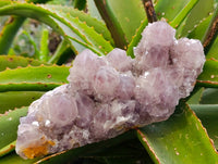Natural Smokey Amethyst Spirit Quartz Clusters x 2 From South Africa