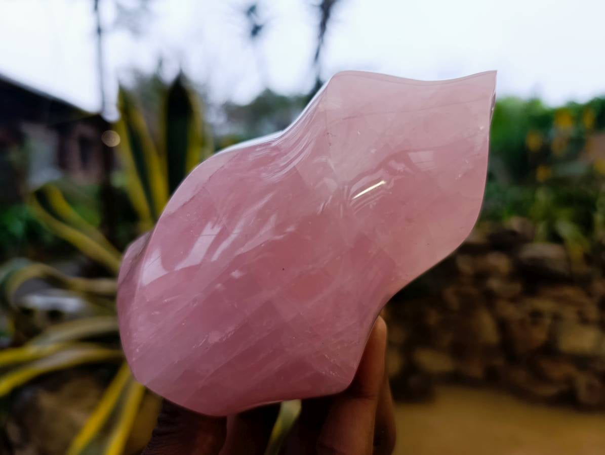 Polished Rose Quartz Flames x 2 From Madagascar - Toprock Gemstones and Minerals 
