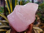 Polished Rose Quartz Flames x 2 From Madagascar - Toprock Gemstones and Minerals 