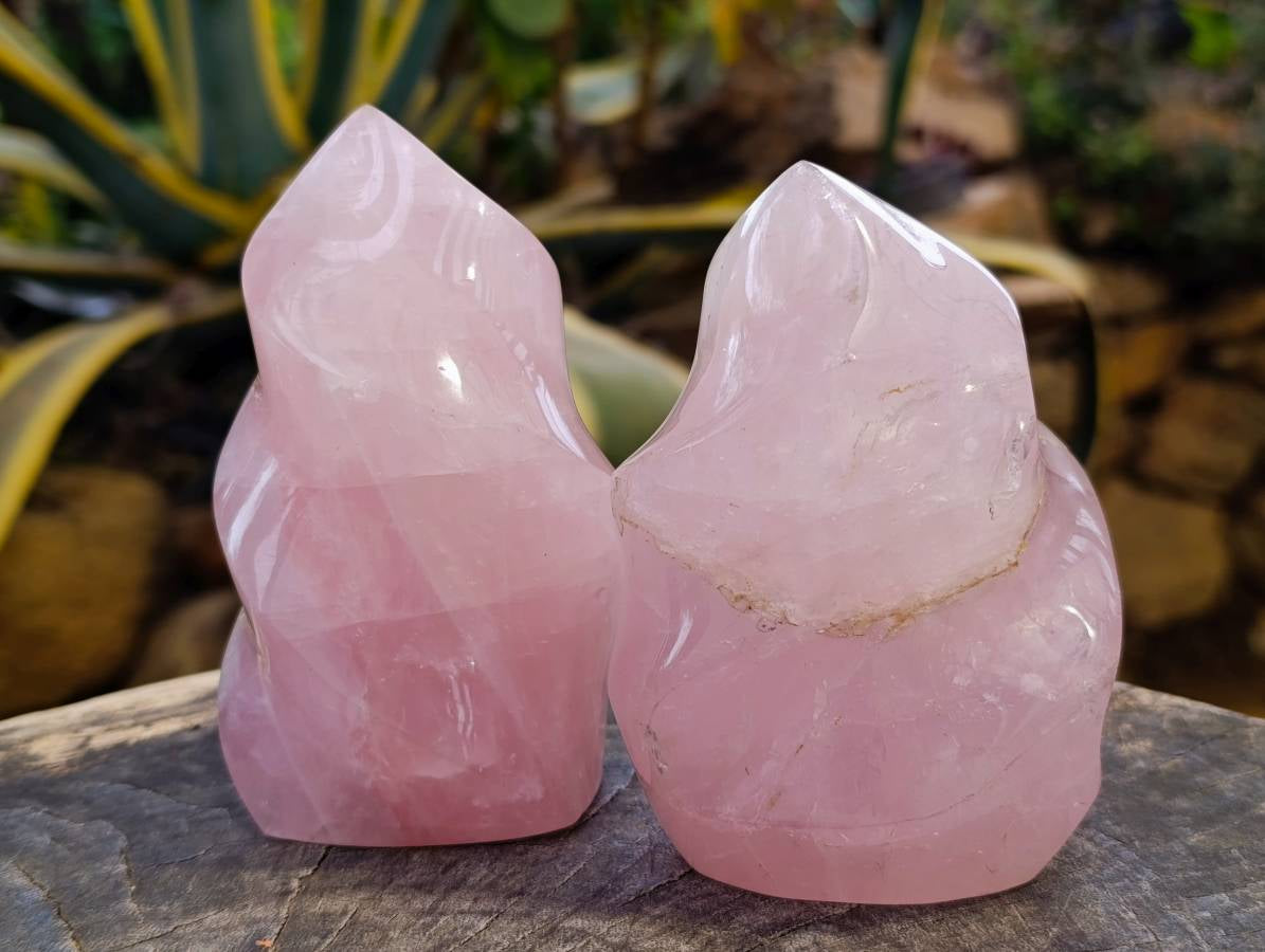 Polished Rose Quartz Flames x 2 From Madagascar - Toprock Gemstones and Minerals 