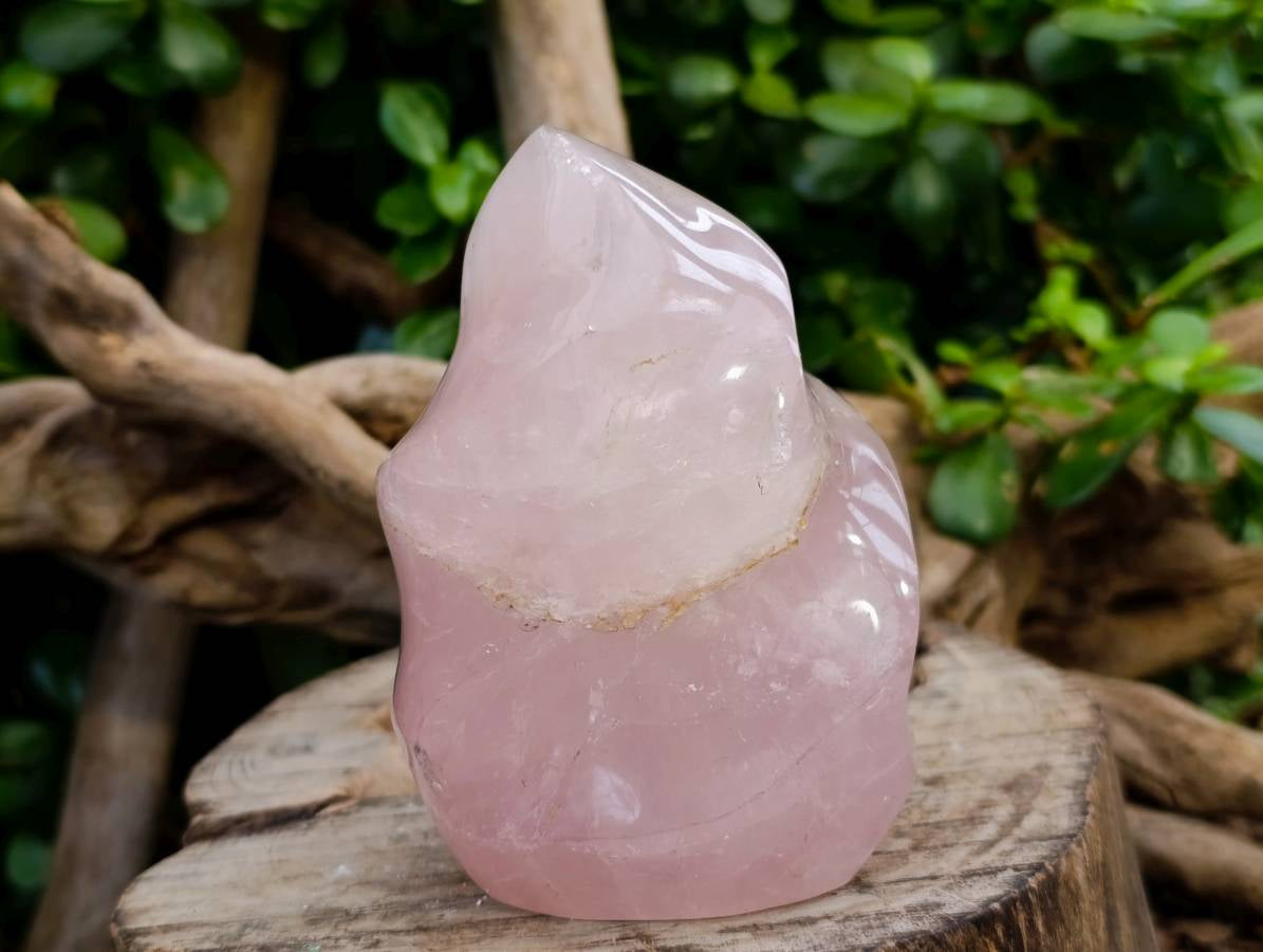 Polished Rose Quartz Flames x 2 From Madagascar - Toprock Gemstones and Minerals 