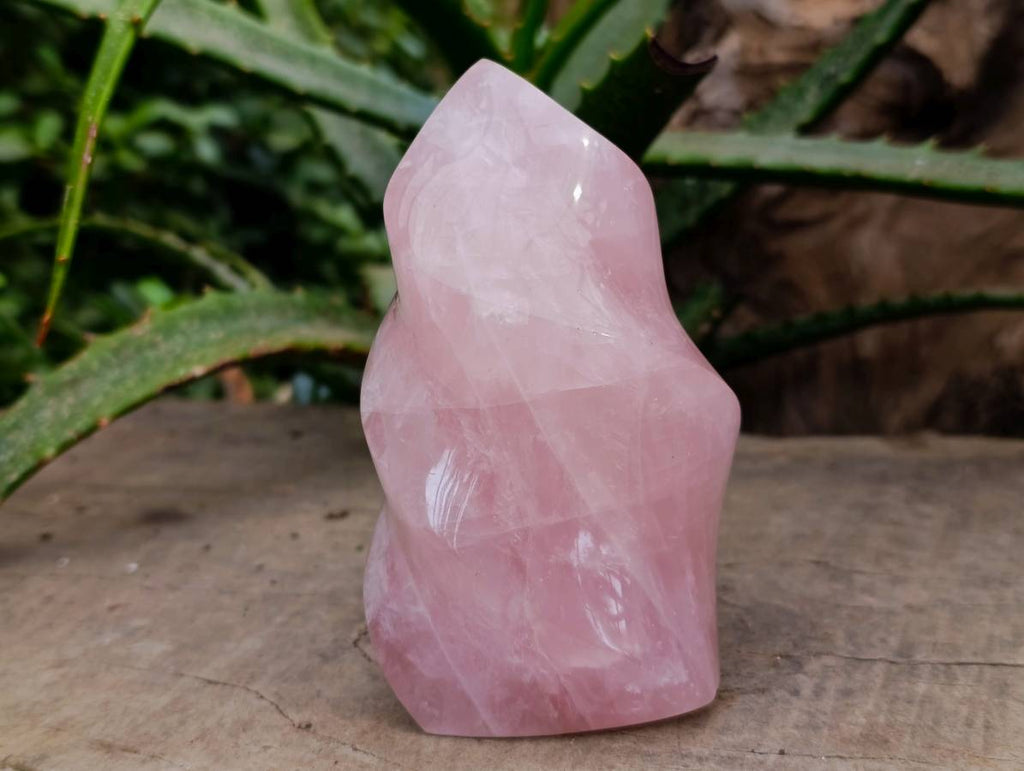 Polished Rose Quartz Flames x 2 From Madagascar - Toprock Gemstones and Minerals 