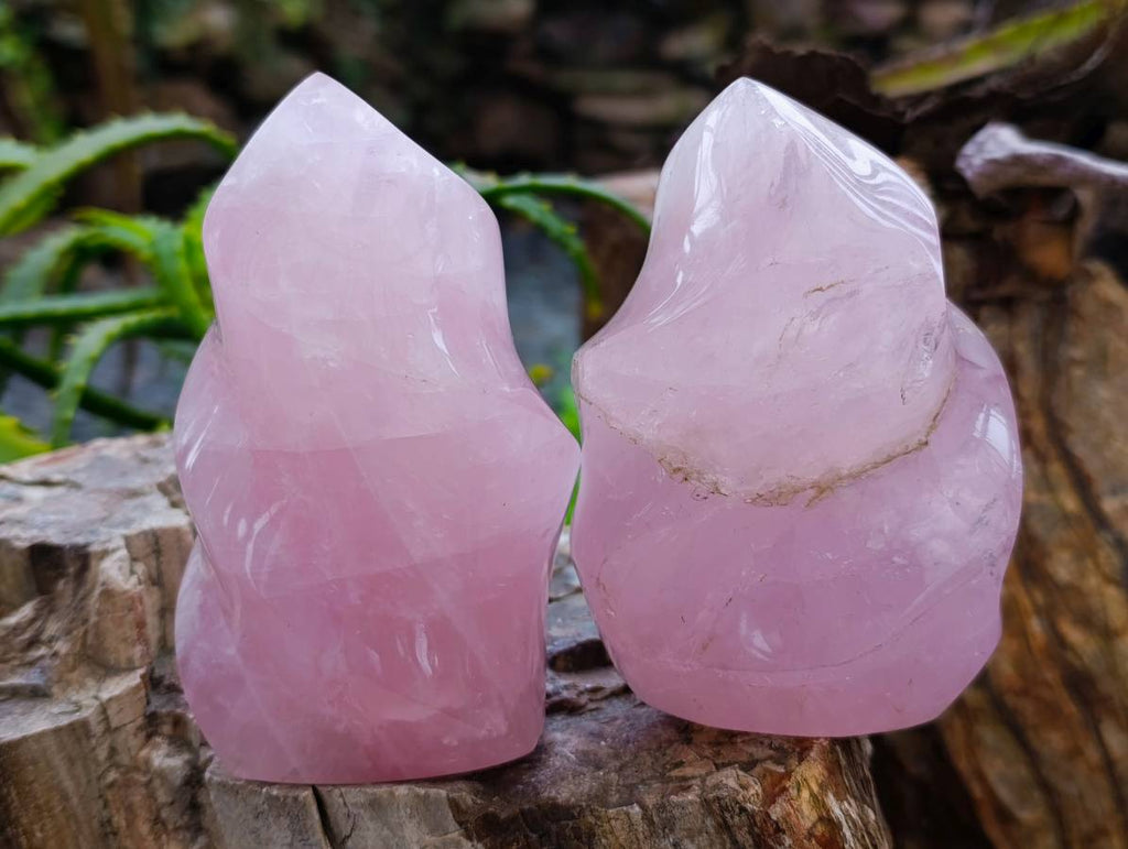 Polished Rose Quartz Flames x 2 From Madagascar - Toprock Gemstones and Minerals 
