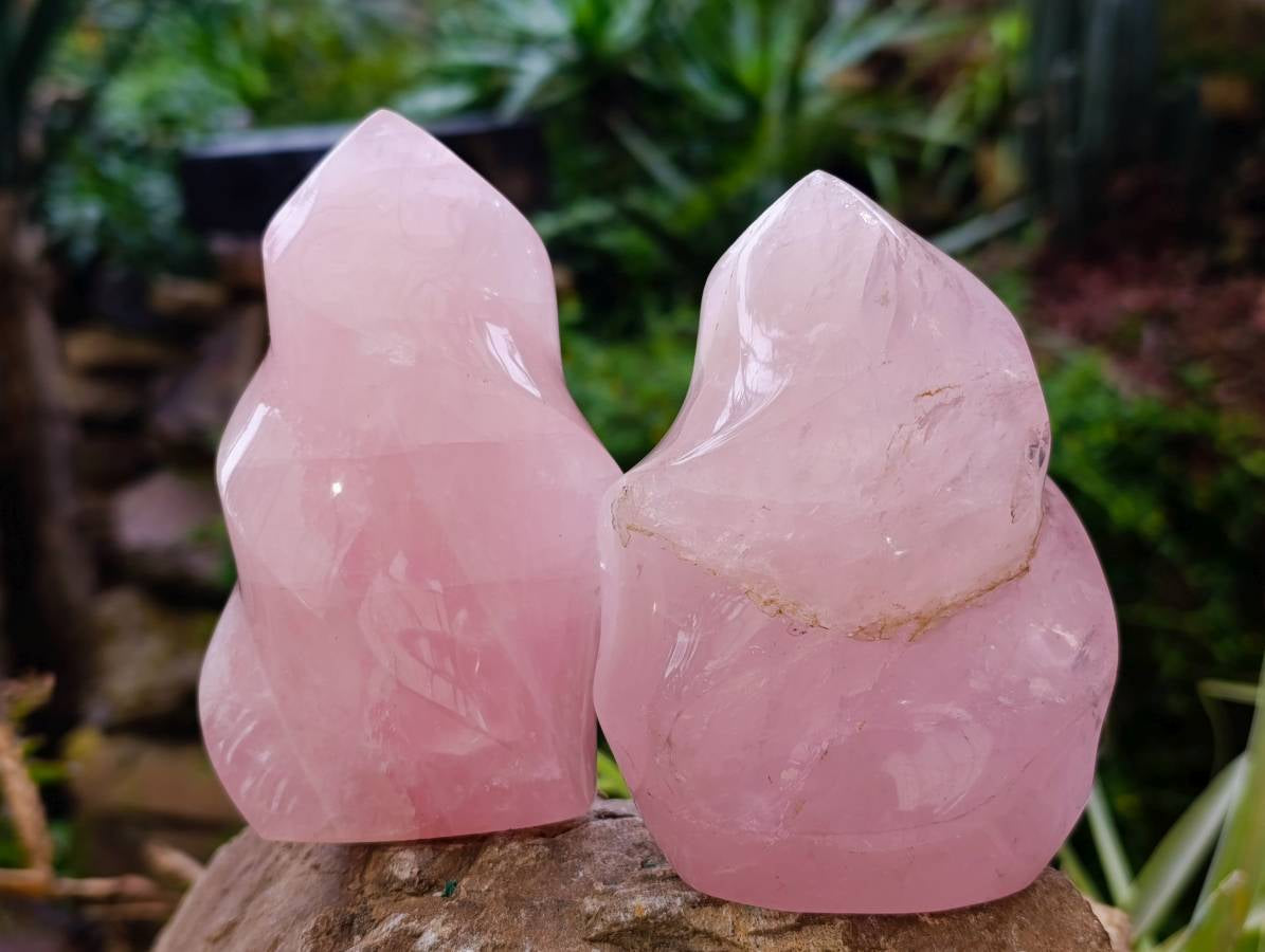 Polished Rose Quartz Flames x 2 From Madagascar - Toprock Gemstones and Minerals 