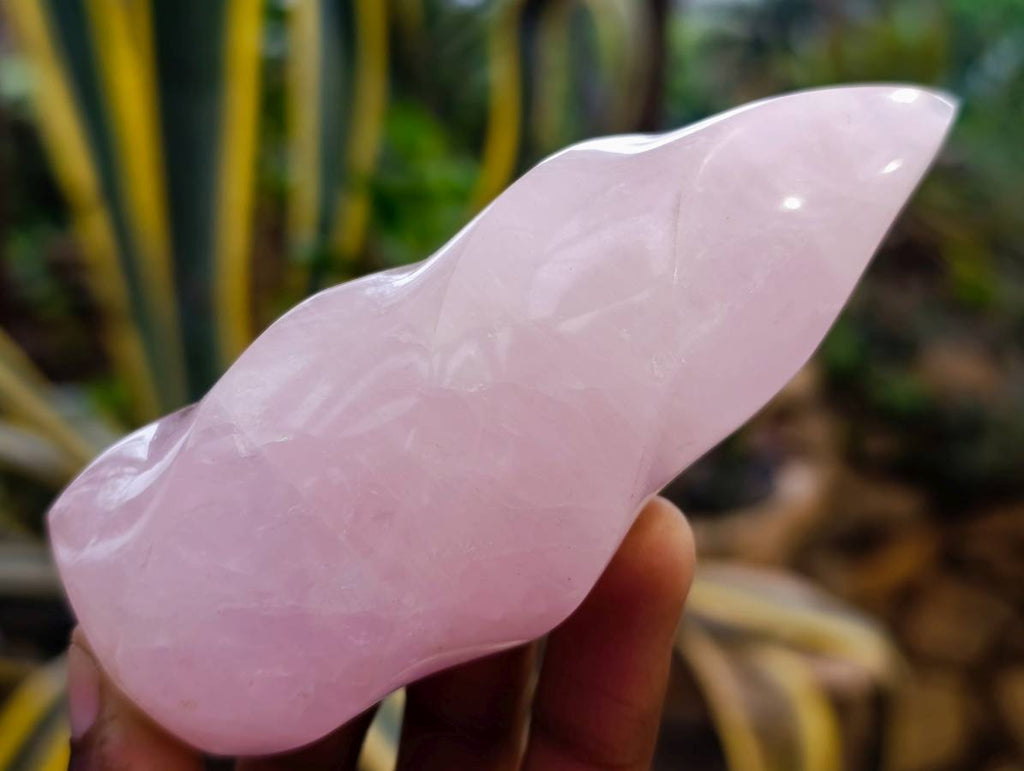Polished Rose Quartz Flames x 2 From Madagascar - Toprock Gemstones and Minerals 