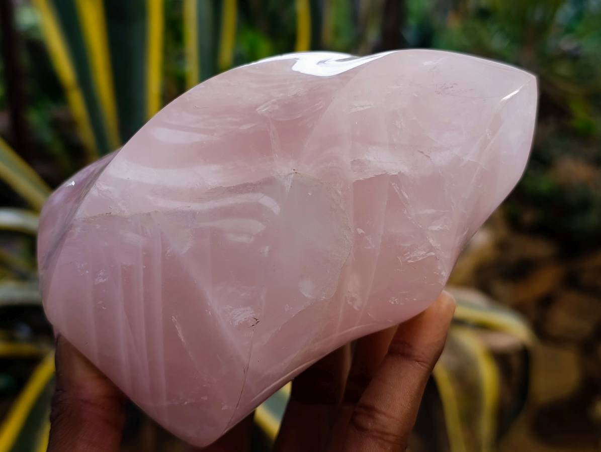 Polished Rose Quartz Flames x 2 From Madagascar - Toprock Gemstones and Minerals 