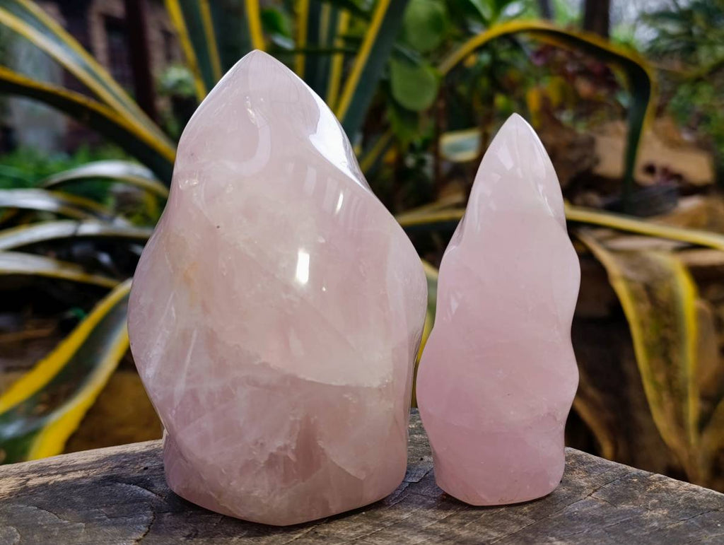Polished Rose Quartz Flames x 2 From Madagascar - Toprock Gemstones and Minerals 