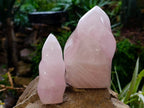 Polished Rose Quartz Flames x 2 From Madagascar - Toprock Gemstones and Minerals 