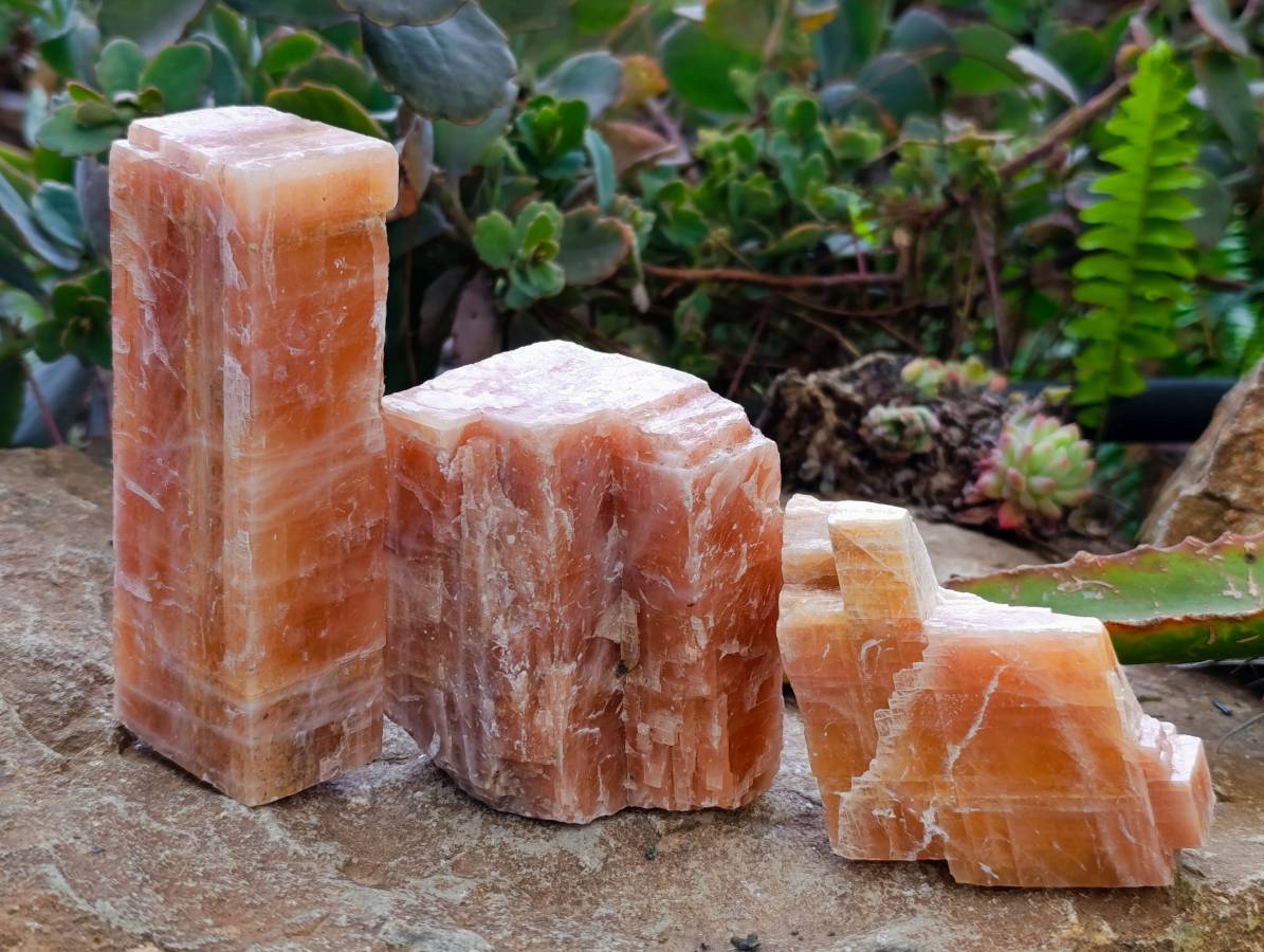 Natural Sunset Orange Calcite Specimens x 5 From Spitzkop, Namibia - Toprock Gemstones and Minerals 