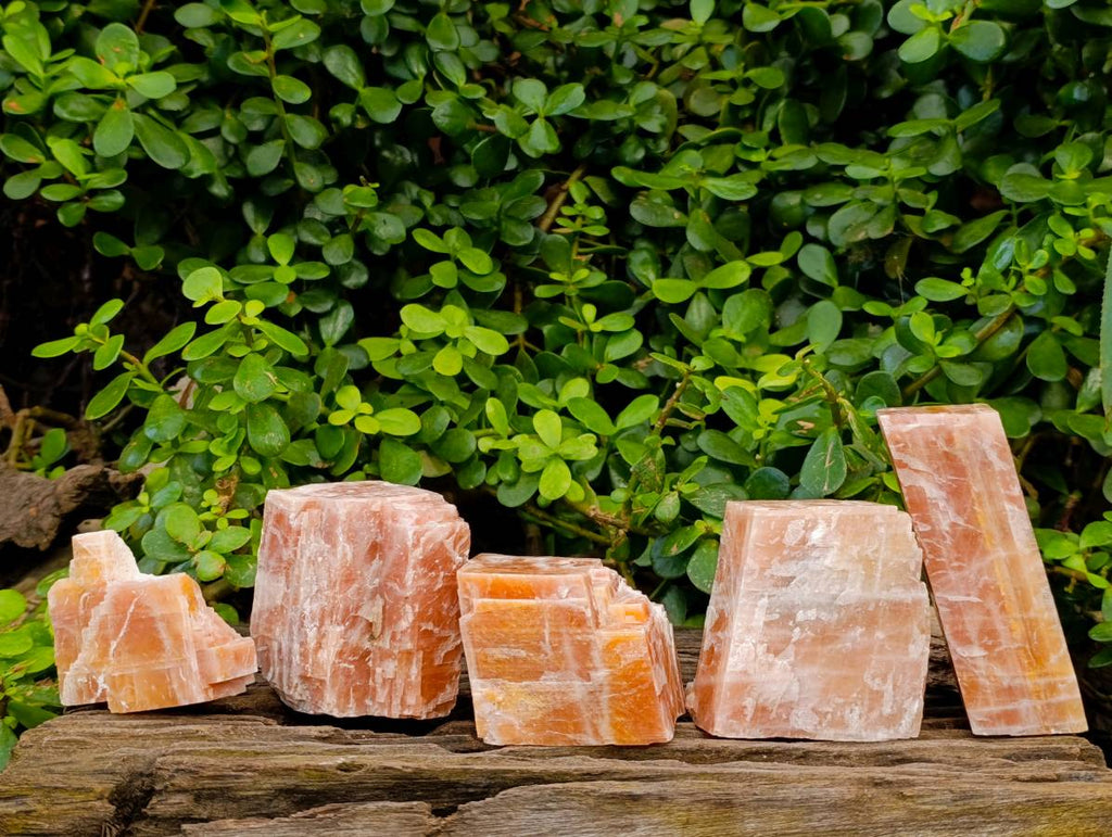 Natural Sunset Orange Calcite Specimens x 5 From Spitzkop, Namibia - Toprock Gemstones and Minerals 