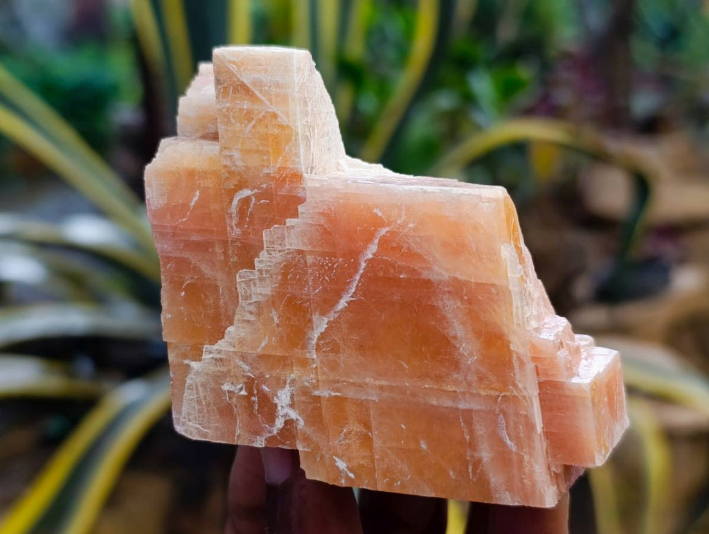 Natural Sunset Orange Calcite Specimens x 5 From Spitzkop, Namibia - Toprock Gemstones and Minerals 