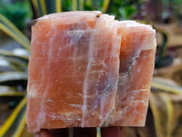 Natural Sunset Orange Calcite Specimens x 5 From Spitzkop, Namibia