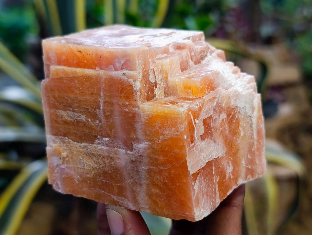Natural Sunset Orange Calcite Specimens x 5 From Spitzkop, Namibia - Toprock Gemstones and Minerals 