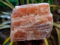 Natural Sunset Orange Calcite Specimens x 5 From Spitzkop, Namibia