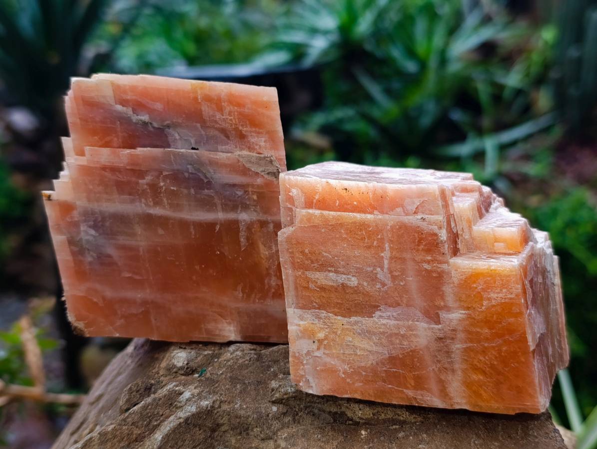 Natural Sunset Orange Calcite Specimens x 5 From Spitzkop, Namibia - Toprock Gemstones and Minerals 