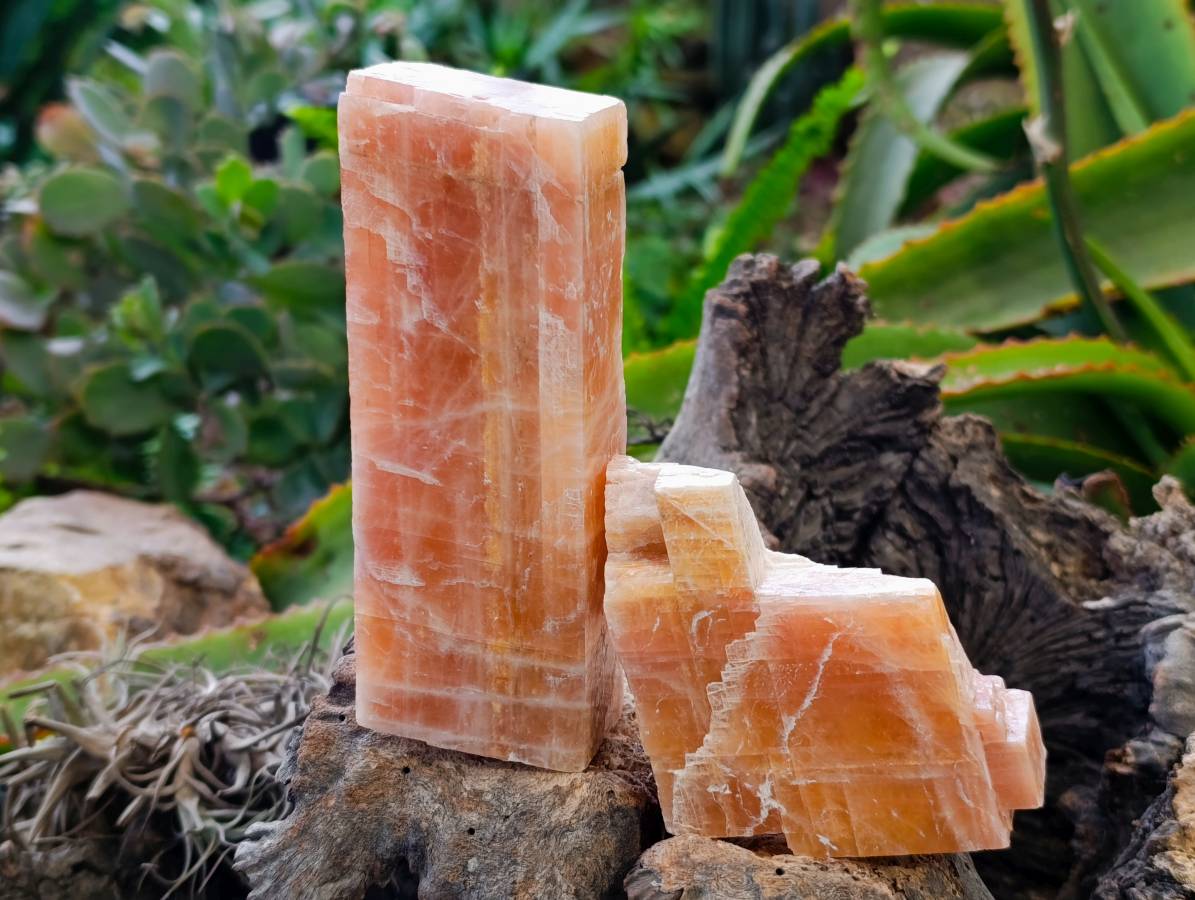 Natural Sunset Orange Calcite Specimens x 5 From Spitzkop, Namibia - Toprock Gemstones and Minerals 