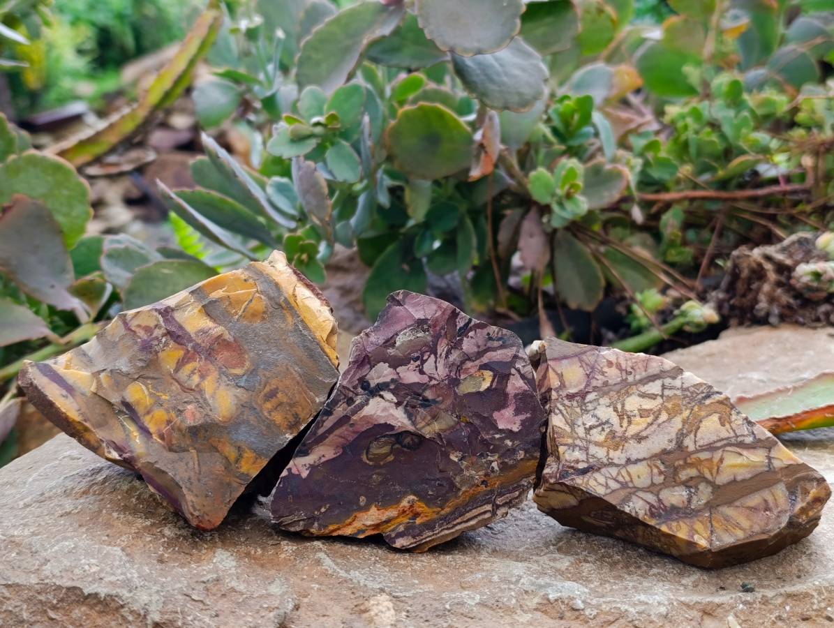 Natural Selected Nguni Jasper Cobbed Specimens x 24 From Prieska, South Africa - Toprock Gemstones and Minerals 