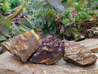 Natural Selected Nguni Jasper Cobbed Specimens x 24 From Prieska, South Africa