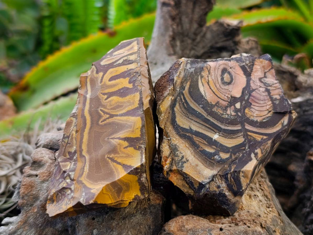 Natural Selected Nguni Jasper Cobbed Specimens x 24 From Prieska, South Africa - Toprock Gemstones and Minerals 