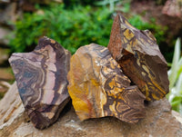 Natural Selected Nguni Jasper Cobbed Specimens x 24 From Prieska, South Africa