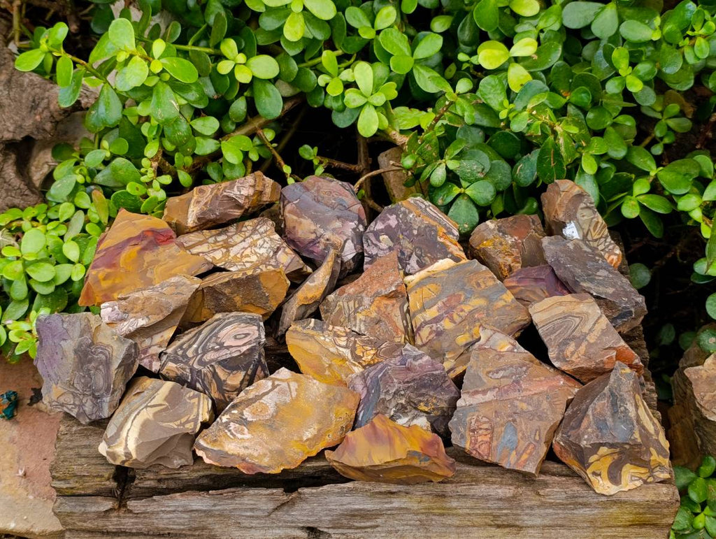 Natural Selected Nguni Jasper Cobbed Specimens x 24 From Prieska, South Africa - Toprock Gemstones and Minerals 