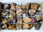 Natural Selected Nguni Jasper Cobbed Specimens x 24 From Prieska, South Africa - Toprock Gemstones and Minerals 