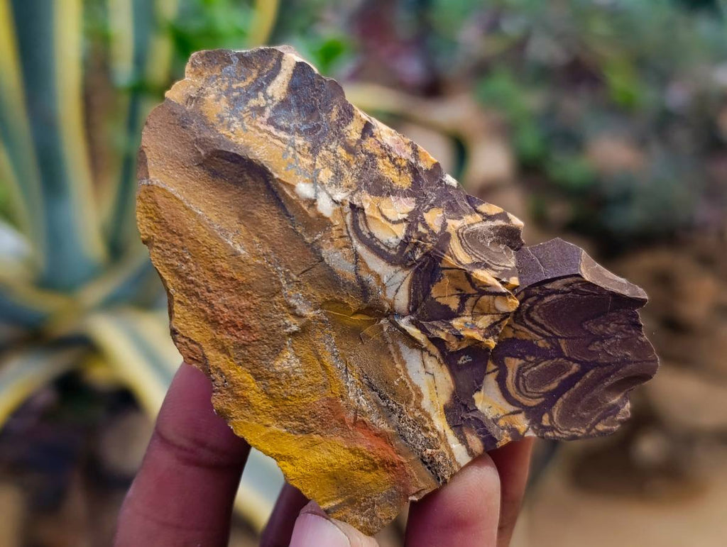 Natural Selected Nguni Jasper Cobbed Specimens x 24 From Prieska, South Africa - Toprock Gemstones and Minerals 