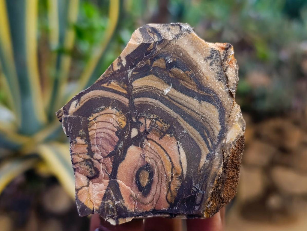 Natural Selected Nguni Jasper Cobbed Specimens x 24 From Prieska, South Africa - Toprock Gemstones and Minerals 