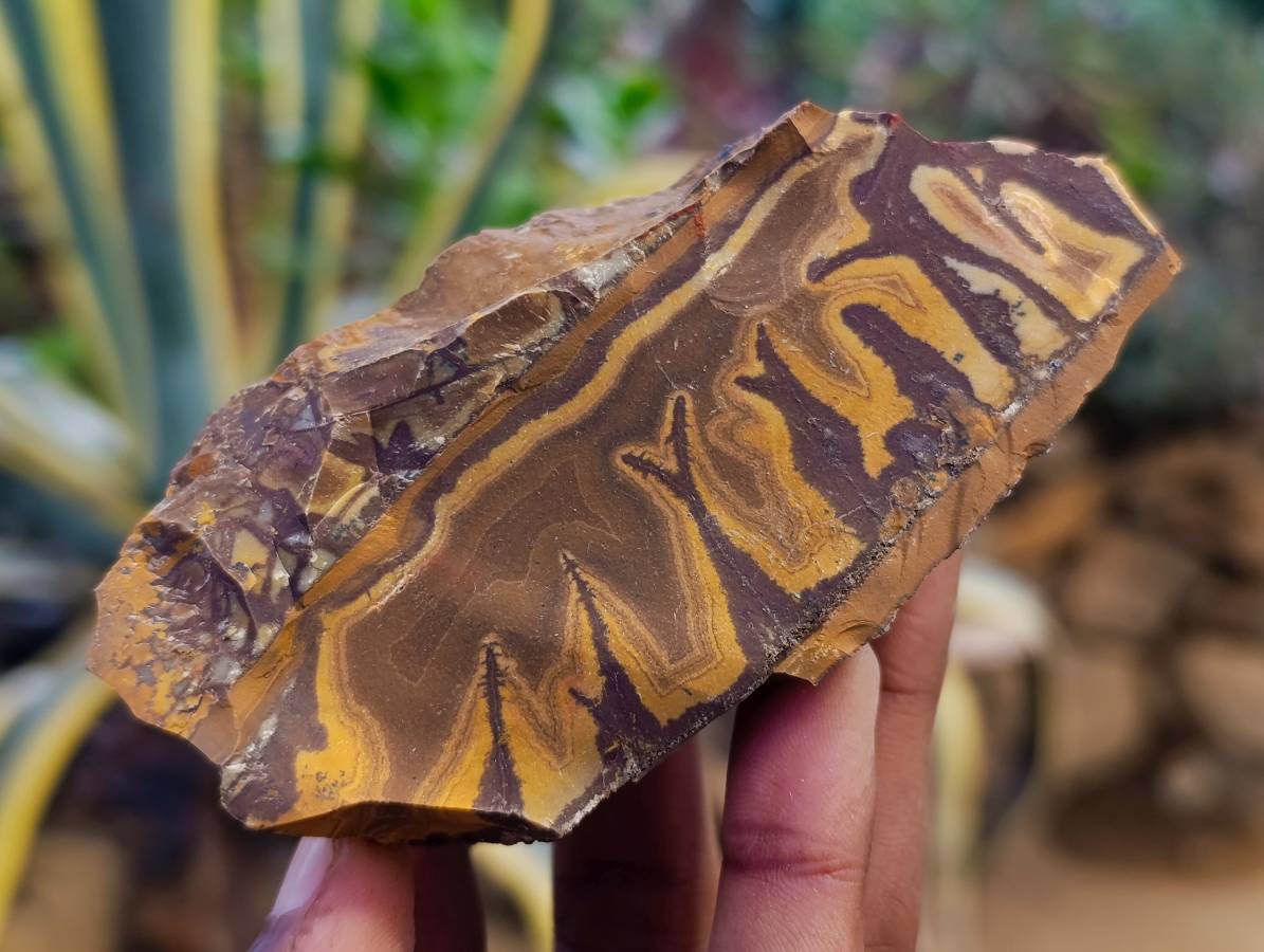 Natural Selected Nguni Jasper Cobbed Specimens x 24 From Prieska, South Africa - Toprock Gemstones and Minerals 