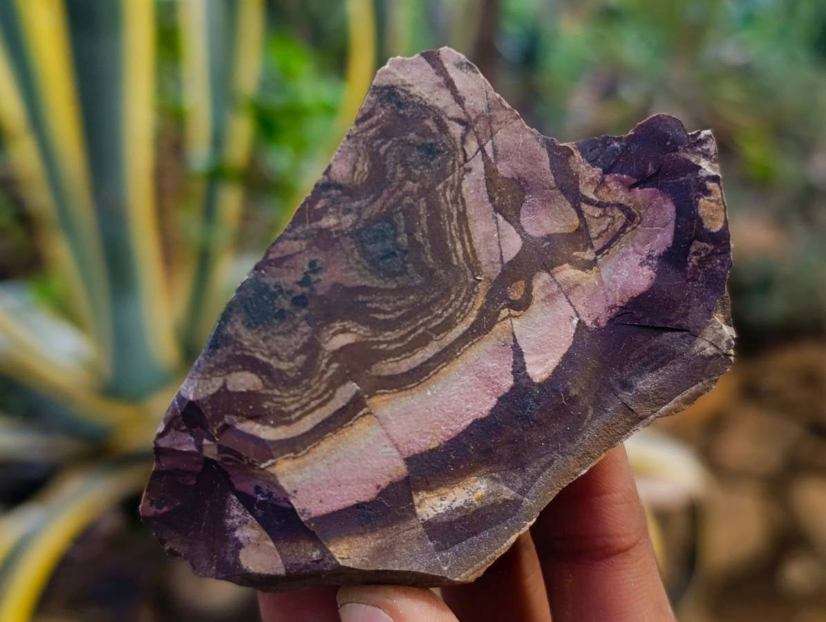 Natural Selected Nguni Jasper Cobbed Specimens x 24 From Prieska, South Africa - Toprock Gemstones and Minerals 