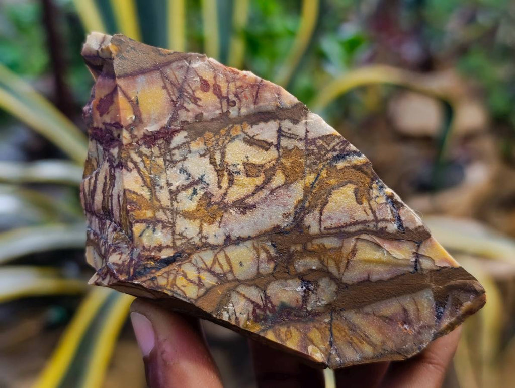 Natural Selected Nguni Jasper Cobbed Specimens x 24 From Prieska, South Africa - Toprock Gemstones and Minerals 