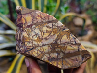 Natural Selected Nguni Jasper Cobbed Specimens x 24 From Prieska, South Africa