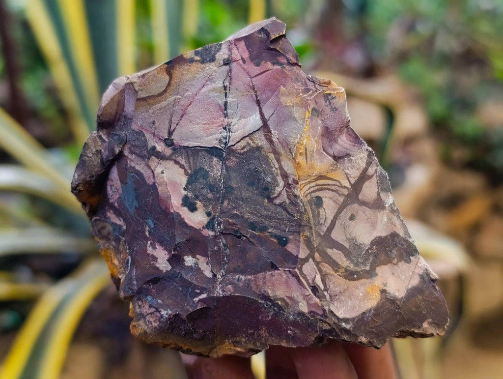 Natural Selected Nguni Jasper Cobbed Specimens x 24 From Prieska, South Africa - Toprock Gemstones and Minerals 