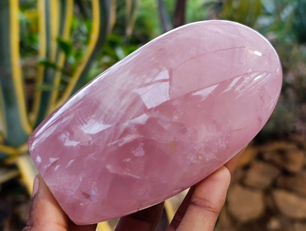 Polished Rose Quartz Standing Free Forms x 2 From Madagascar - Toprock Gemstones and Minerals 