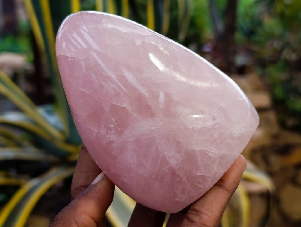 Polished Rose Quartz Standing Free Forms x 2 From Madagascar - Toprock Gemstones and Minerals 