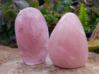 Polished Rose Quartz Standing Free Forms x 2 From Madagascar - Toprock Gemstones and Minerals 