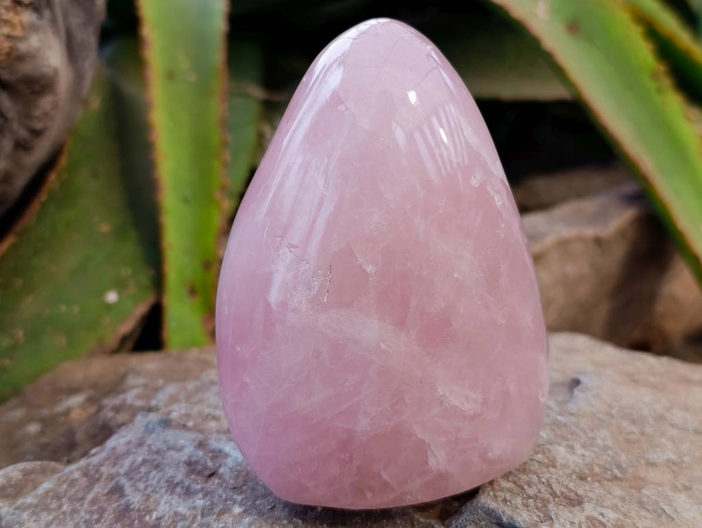 Polished Rose Quartz Standing Free Forms x 2 From Madagascar - Toprock Gemstones and Minerals 