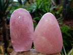 Polished Rose Quartz Standing Free Forms x 2 From Madagascar - Toprock Gemstones and Minerals 