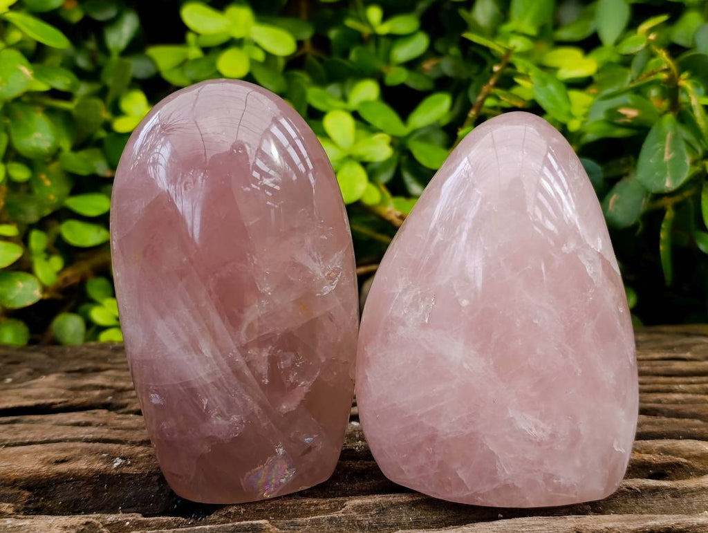 Polished Rose Quartz Standing Free Forms x 2 From Madagascar - Toprock Gemstones and Minerals 